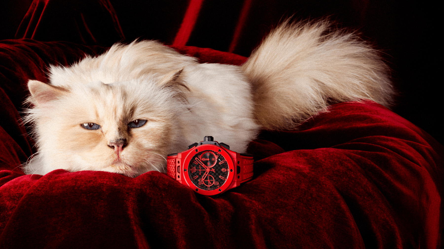 banner hublot big bang 2