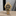 m79683-0001_4