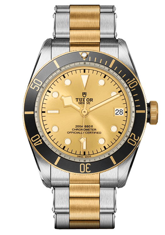 Tudor Black Bay S&G_79733N-0004-1.png