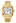Cartier Santos Automatic M_WGSA0030.png