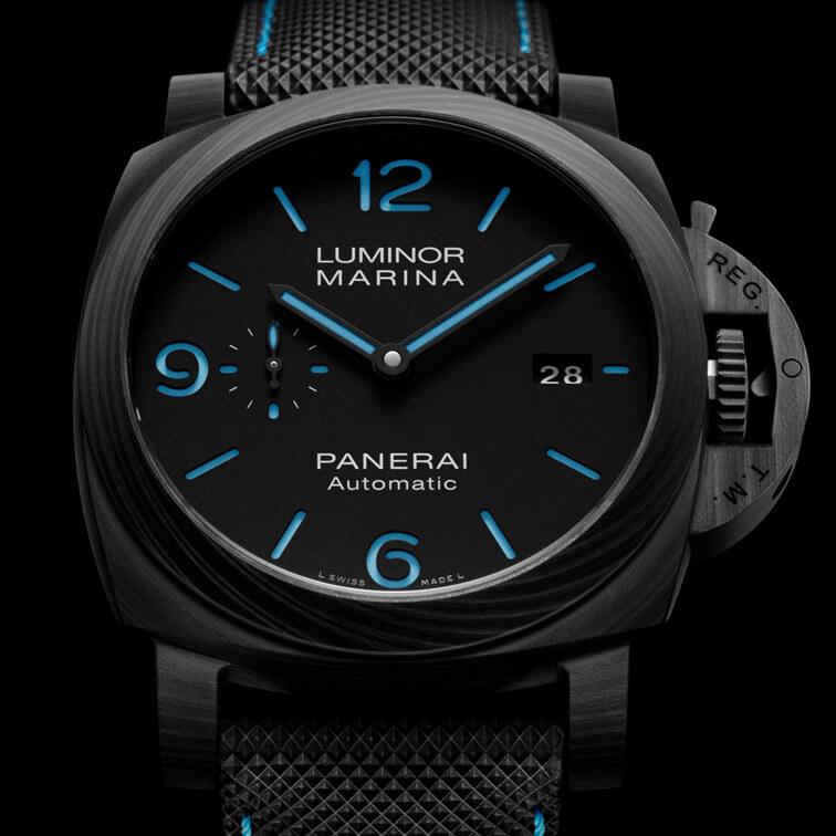 Pam1661_Cat_Dett01