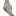 19-54