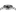 19-60