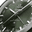 omega_c_5