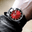 hmoser_R_Mb1