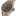 IW506003_4