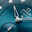 OMEGA_C_45