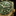 m79018v-0006_5