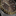 M28503-0008_3