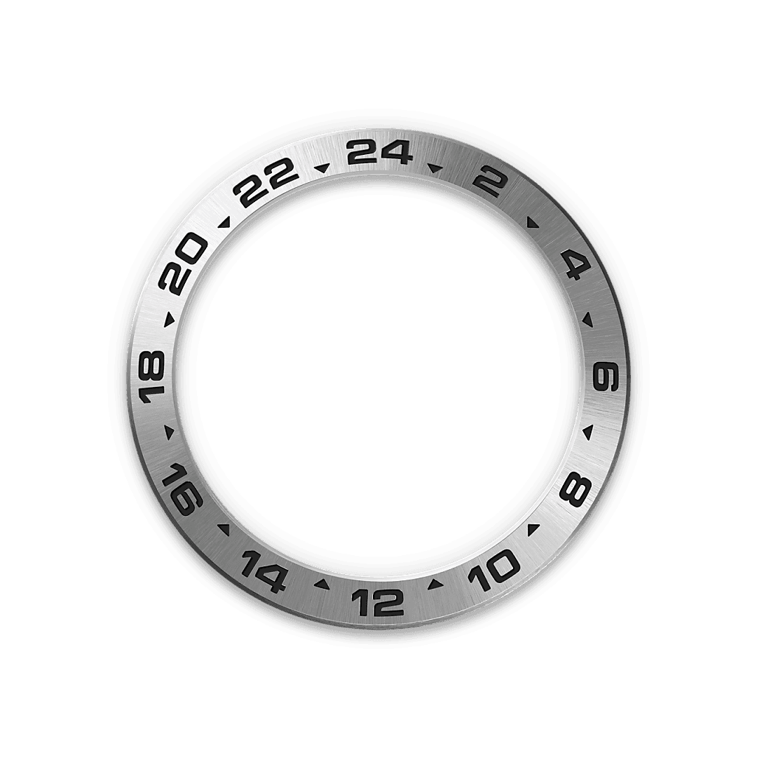 24-timersbezel