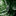 SBGE257G_6