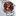 SBGA499_2