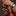 WBN2450.BD0569_6
