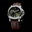 PAM01624_4