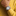 79470-0004_3