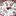 WBY1111.BA0042_2