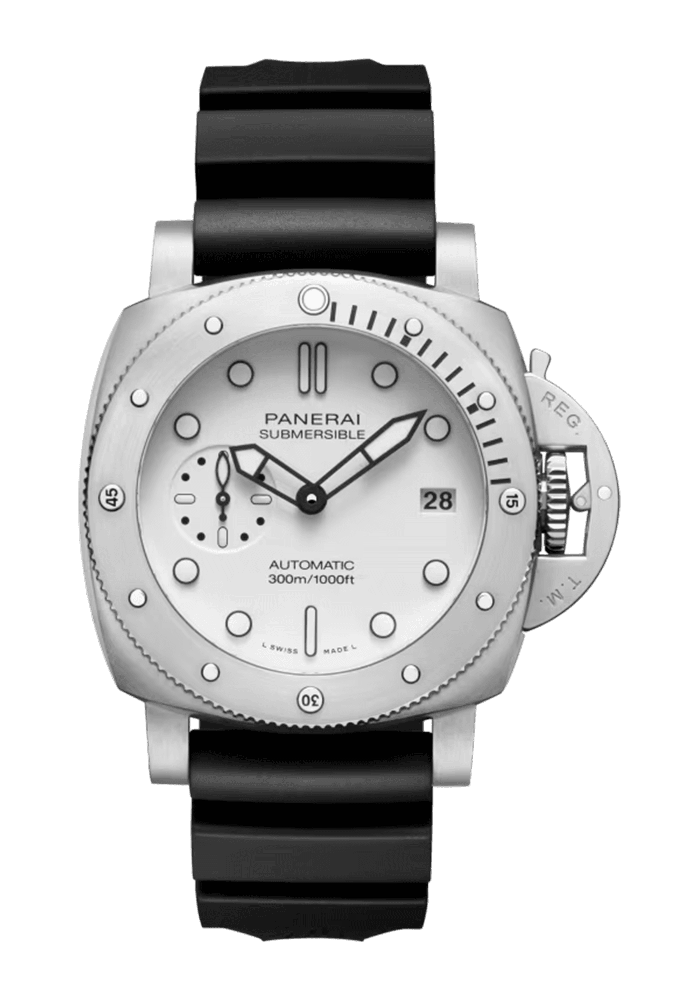 PAM01590_1