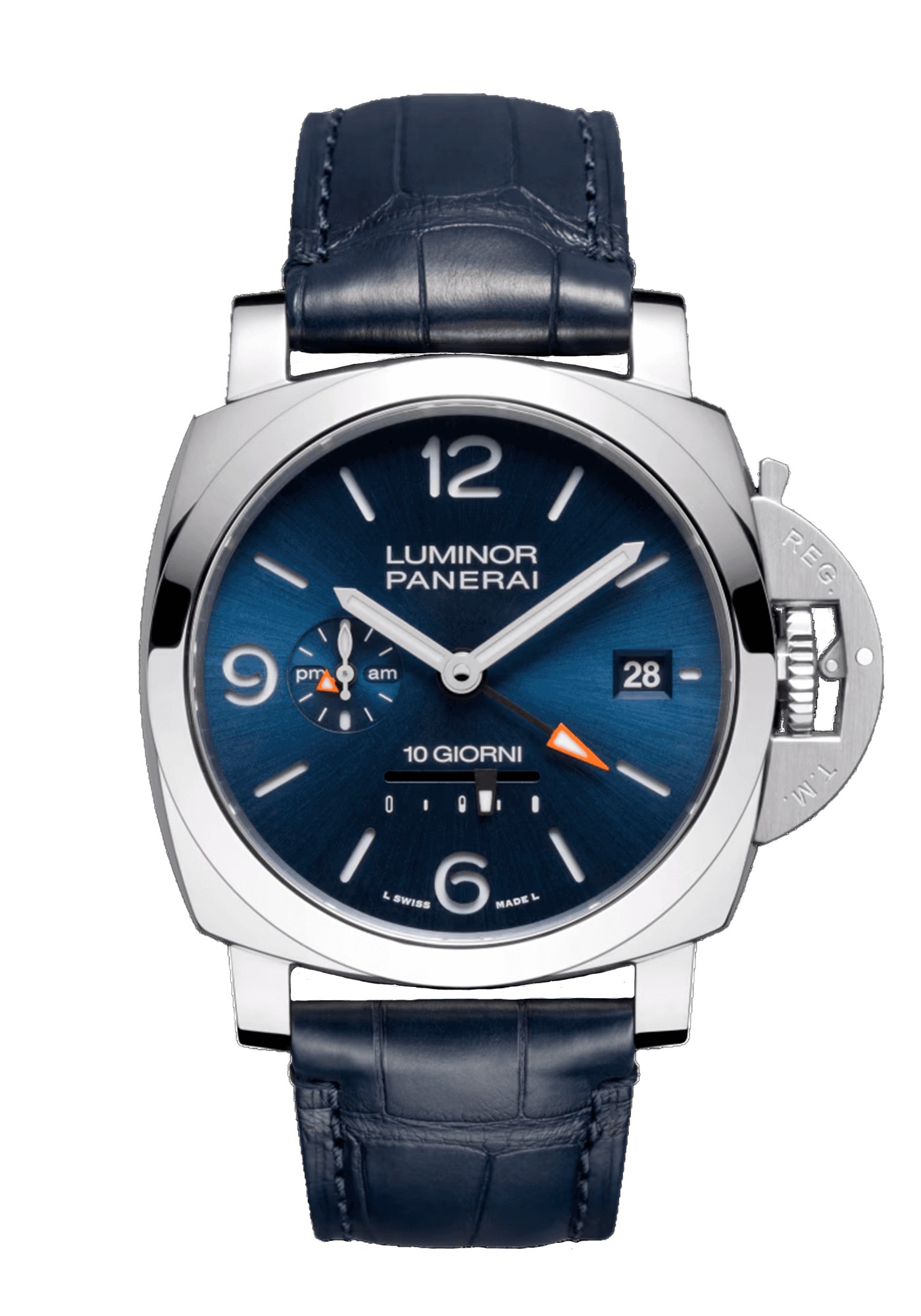 PAM01482_PB