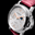 Panerai_luna_MB4