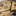 Tudor_champ_MB1