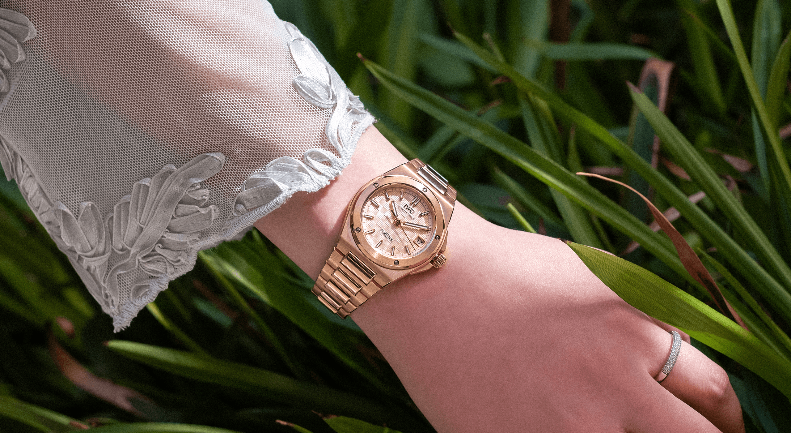 DSCF3440-Edit_banner