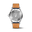 IWC_PP3_MB4