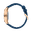 IWC_PP_MB4