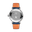 IWC_P_MB1