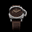 PAM1731_MB1