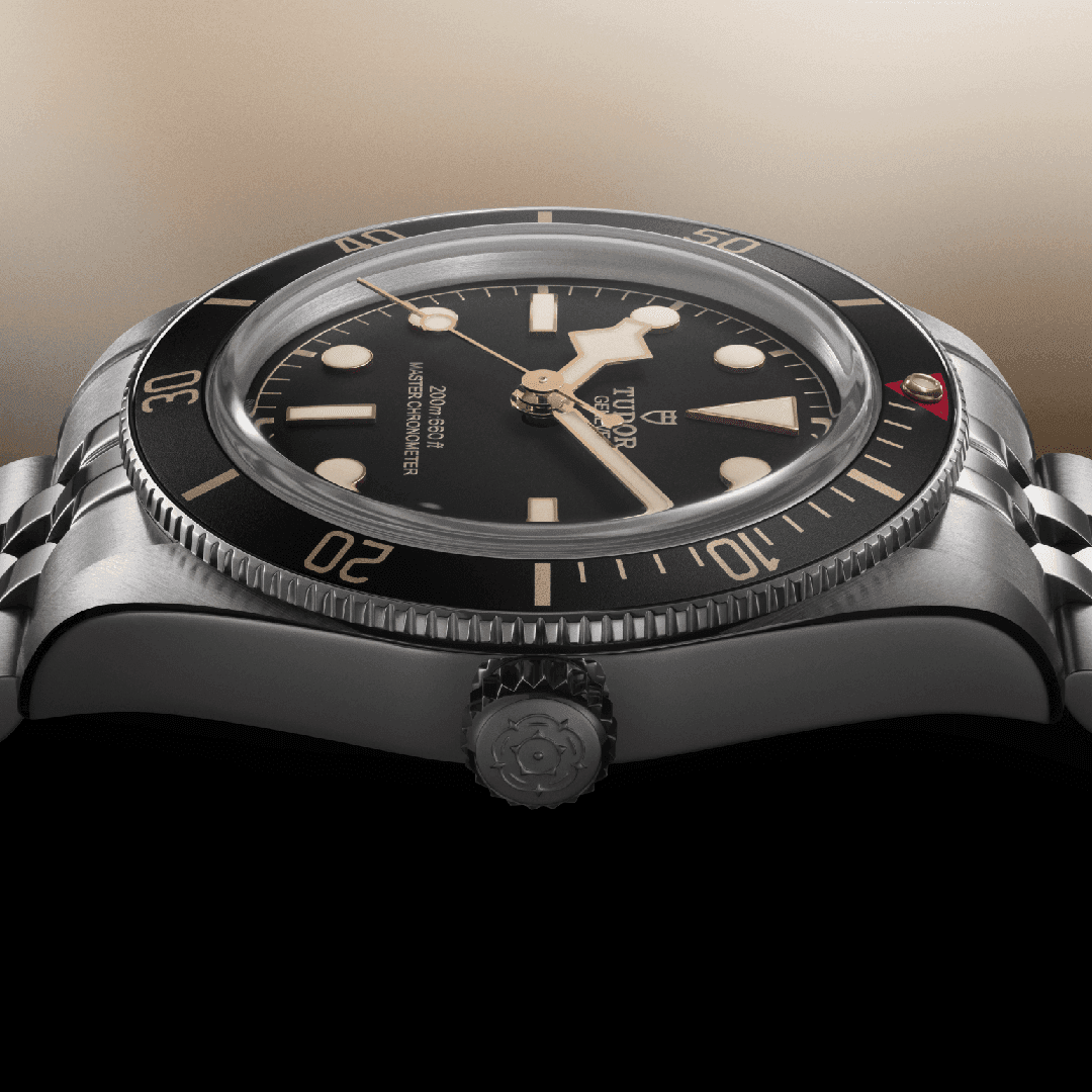 tudor19