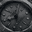 TUDOR_MB5