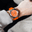 Fortis_mb1