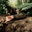 PAM01738_MB4