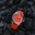 fortis_mb3