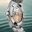 IWC_IW324902_MB6