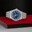 Tudor_royal_MB1