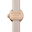 BP_G_MB1