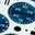 F_HBB_MB6