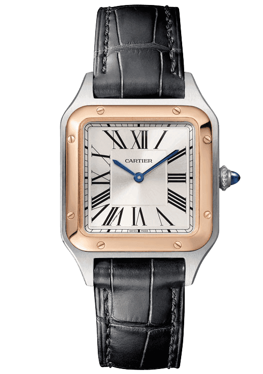 Cartier Santos-Dumont Small_W2SA0012-1.png