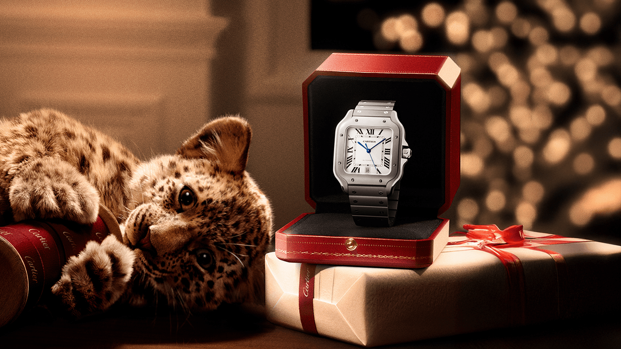 Banner_santos_2000_1125