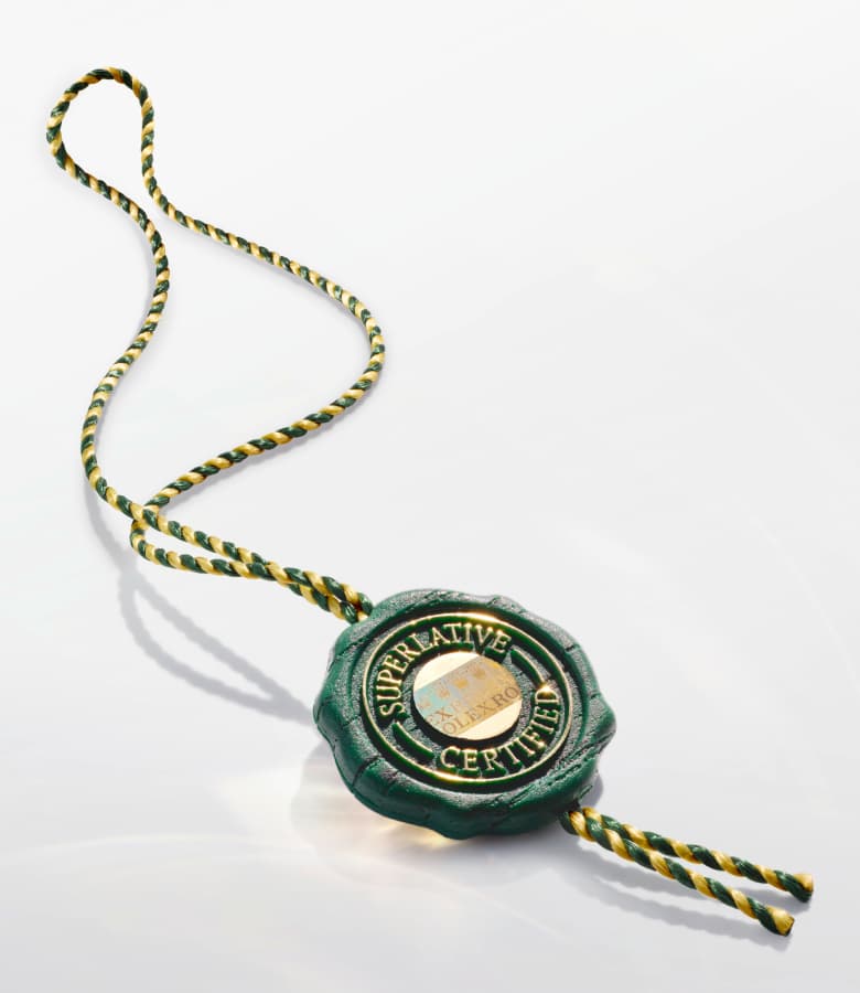 rolex-oyster-story-elmt_2602stj_0002_ecirgb-portrait