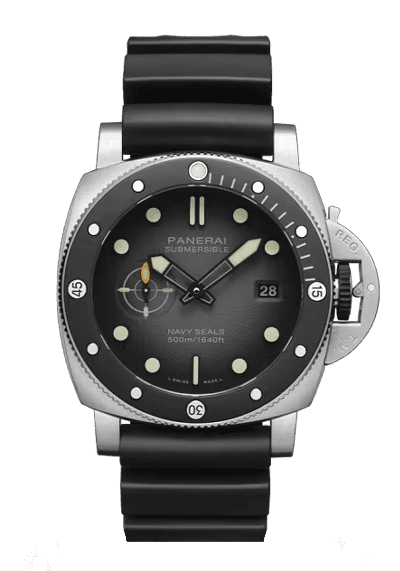 PAM01738_PB